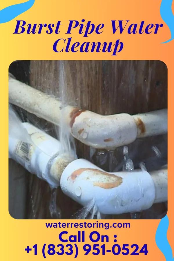 Burst Pipe Water Cleanup in Westland, MI
