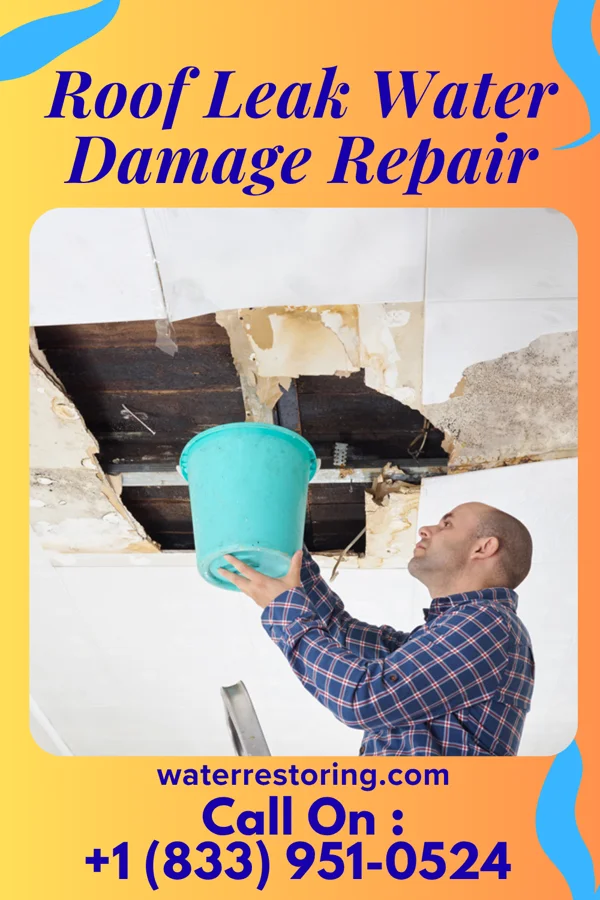 Roof Leak Water Damage Repair in Westland, MI