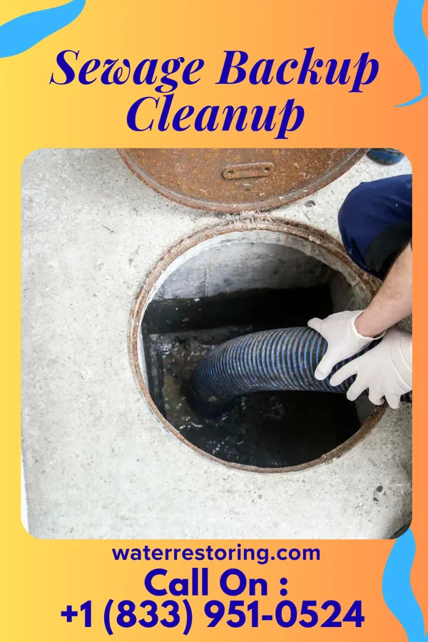 Sewage Backup Cleanup in Westland, MI