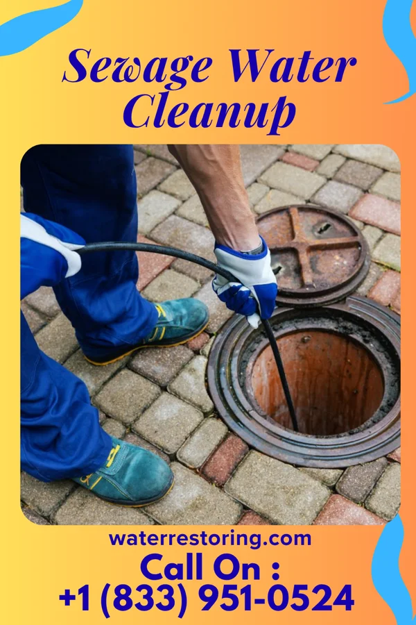 Sewage Water Cleanup in Westland, MI