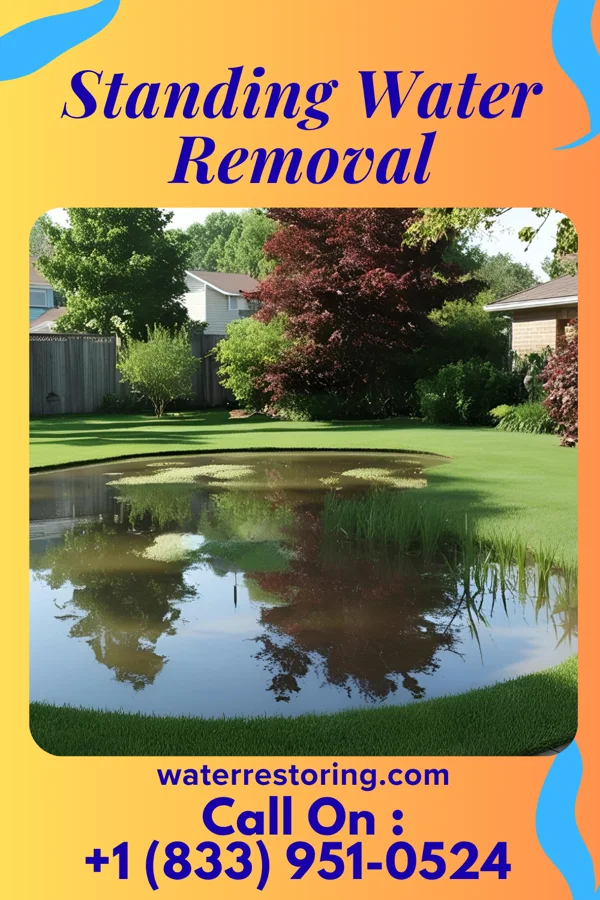 Standing Water Removal in Westland, MI